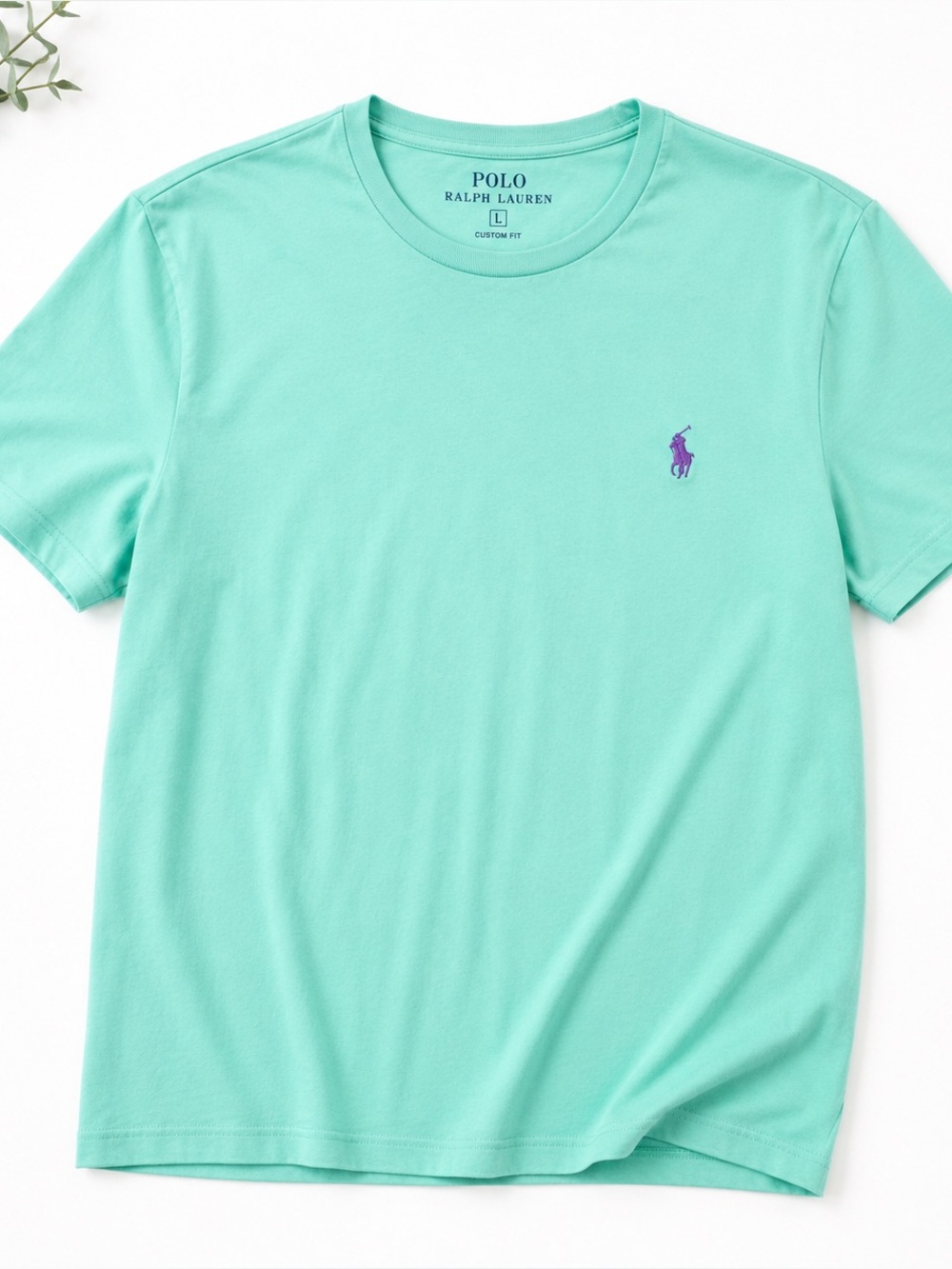 Polo Ralph Lauren Men’s Mint Green Crew Neck T-Shirt Large Purple Pony Logo